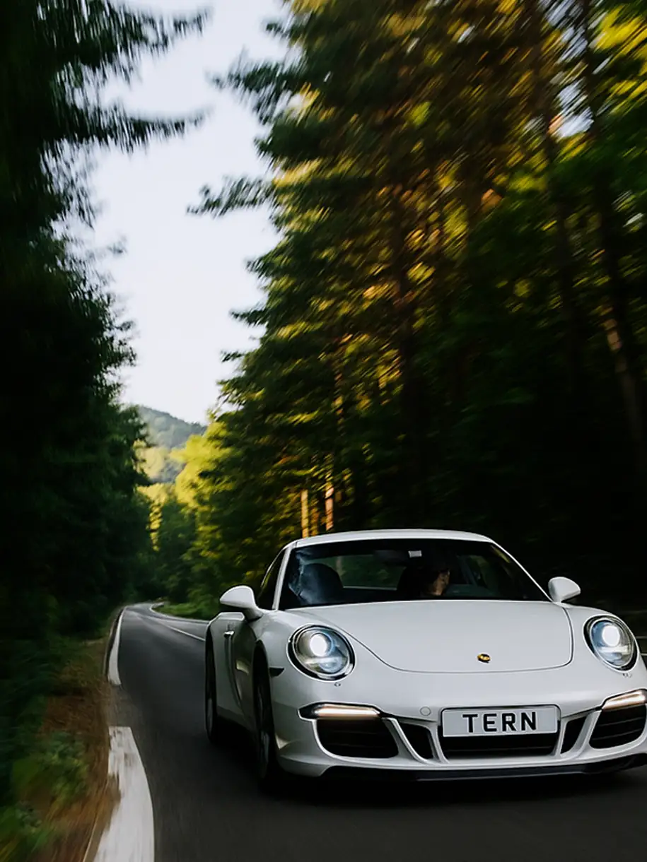 porsche_TERN